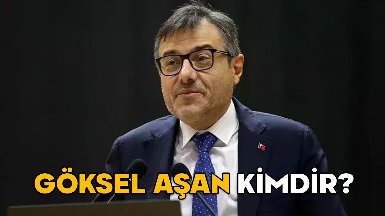 GÖKSEL AŞAN KİMDİR, KAÇ YAŞINDA VE ASLEN NERELİ? Cumhurbaşkanı Başdanışmanı Göksel Aşan’ın kariyeri