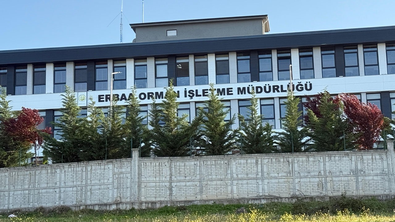 Orman ihalelerinde rüşvet ve yolsuzluk iddiası! İşletme müdürü dahil çok sayıda gözaltı var!