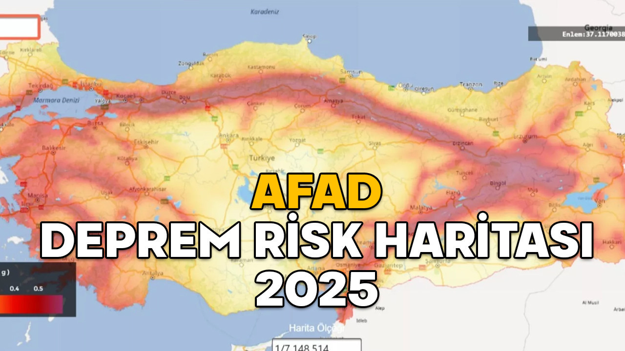 AFAD DEPREM RİSK HARİTASI 2025 || Sokağın deprem riskine nasıl bakılır?
