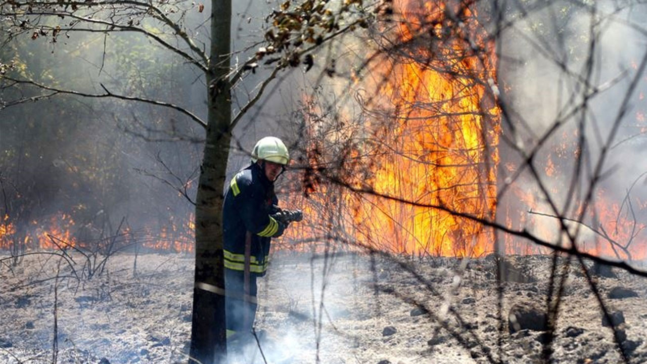 Danıştay Üyesi Koç'tan orman şehitlerine başsağlığı mesajı!