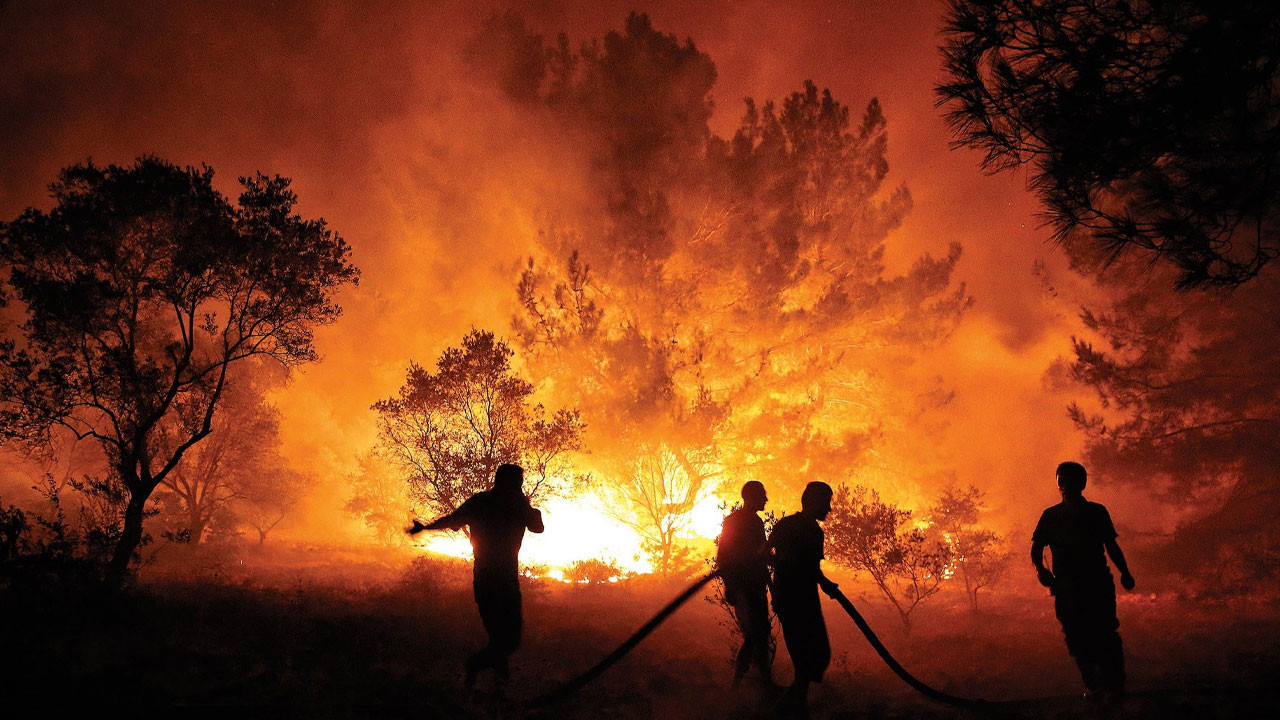 AYM Üyesi İnce'den orman şehitlerine başsağlığı mesajı!