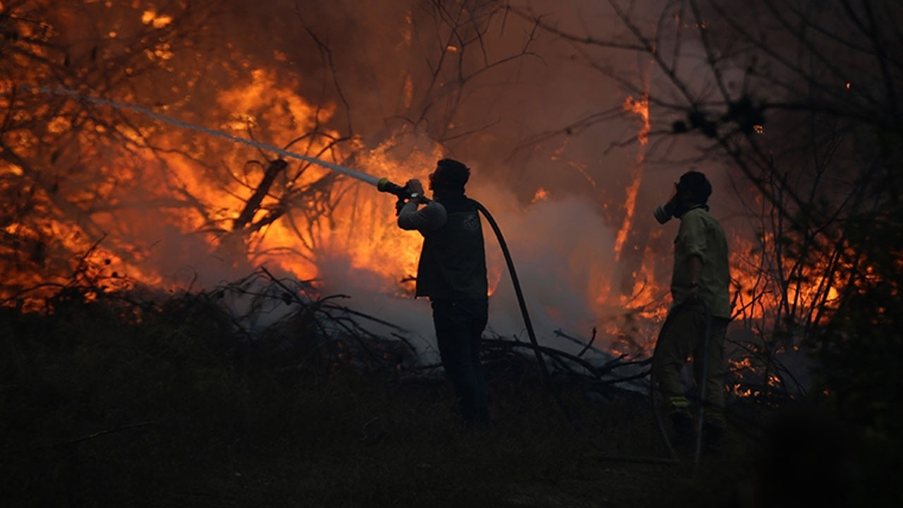 Türkiye Barolar Birliği'nden orman şehitlerine taziye mesajı!