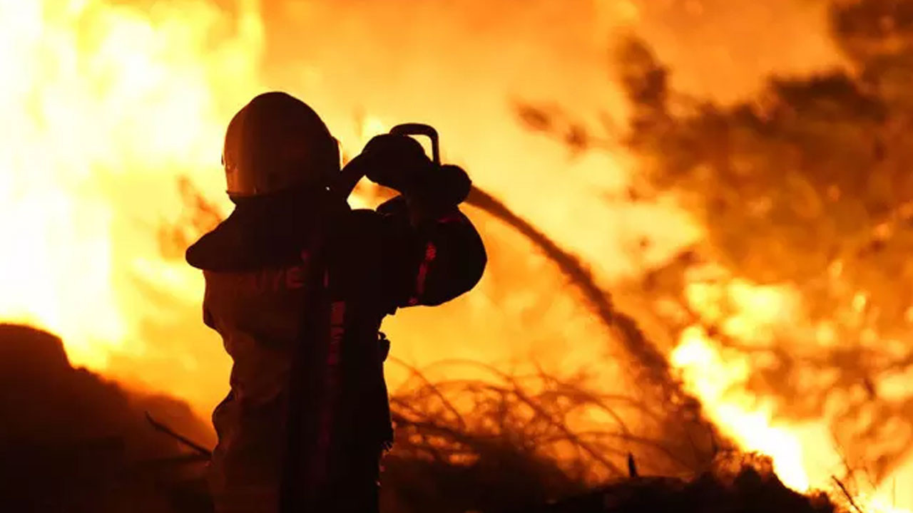 Ceza ve Tevkifevleri Genel Müdürü Yıldırım'dan orman şehitlerine taziye mesajı!
