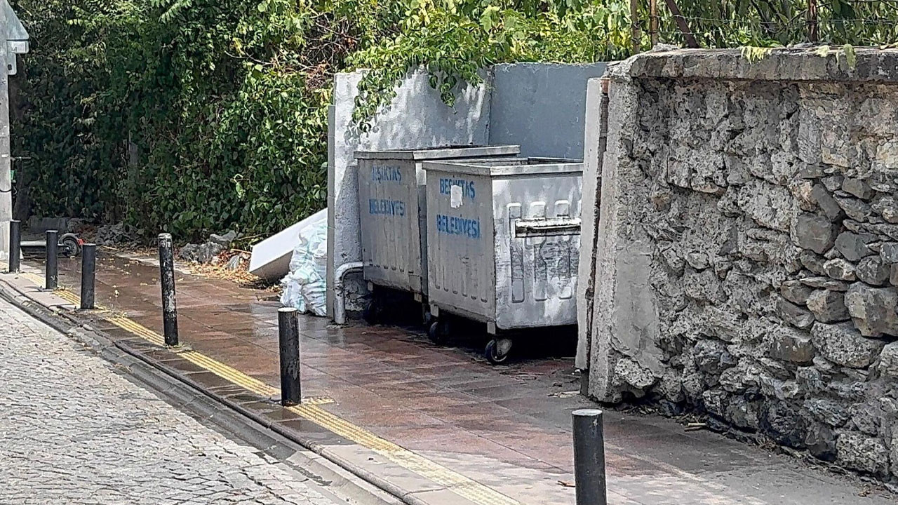 Bebeğini çöpe atıp alışverişe gitmişti! O anne hakkında flaş gelişme