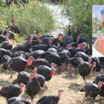 Ankara Adliyesi’ndeki memurları da dolandırdı