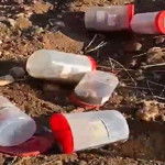 Varil içinde 21 cenin bulunmuştu... Valilikten açıklama geldi