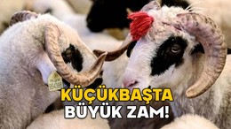 KÜÇÜKBAŞTA BÜYÜK ZAM! Kurbanlık fiyatları el yakıyor. İşte il il 2025 kurban fiyatları tablosu