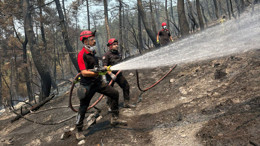 Bakırköy Adliyesi personeli yangınla mücadele ediyor! AD-KUR ekibi Bursa'da