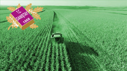 Danıştay bakanlığa verilen o yetkiyi Anayasa’ya aykırı buldu!