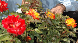 Hıdırellez 2025 ne zaman? Baharın müjdecisi Hıdırellez'in anlamı ve ritüelleri