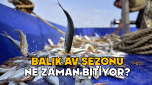 BALIK AV SEZONU NE ZAMAN BİTİYOR 2025? Balık sezonu hangi ayda kapanıyor?