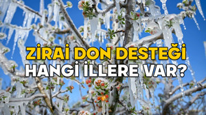 ZİRAİ DON DESTEĞİ HANGİ İLLERE VAR? 2025 zirai don desteği ne kadar?