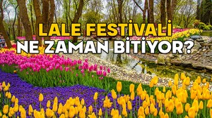İSTANBUL LALE FESTİVALİ NE ZAMAN BİTİYOR 2025? (Emirgan Korusu, Gülhane Parkı, Yıldız Korusu) Lale festivali nerelerde var?