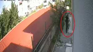 Böyle doktor olmaz olsun! Sahiplendiği köpekleri parçala ayırdı