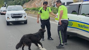 Trafik kazasında insanlık dersi! Polis ekiplerinin merhameti takdir topladı