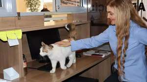 9 yıldır hakim ve savcıları ilk o karşılıyor! Amasya adliyesinin maskotu: Adalet