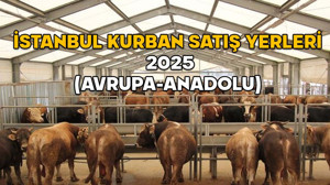 İSTANBUL KURBAN SATIŞ YERLERİ (AVRUPA-ANADOLU) 2025: İBB kurban satış alanlarından randevu nasıl alınır?
