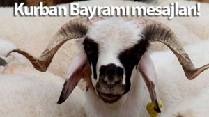Kurban Bayramı 2. günü mesajları 2025: Dualı, ayetli, anlamlı, en güzel ve resimli bayram mesajları ve sözleri