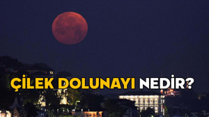 ÇİLEK DOLUNAYI NEDİR? 11 Haziran Çilek dolunayının burçlara etkisi nelerdir?