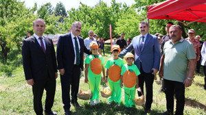 Başsavcı Meriç Dede, bu kez de kayısı hasadında