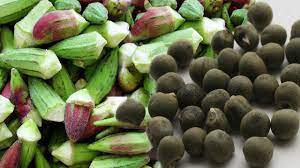 Faydası saymakla bitmez. Görünce burun kıvırabilirsiniz. Ama etkilerine diyecek yok - Resim: 3