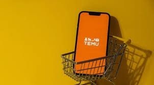 TEMU’DAN ALIŞVERİŞ YAPANLAR DİKKAT! Yasak gelmesi an meselesi - Resim: 6