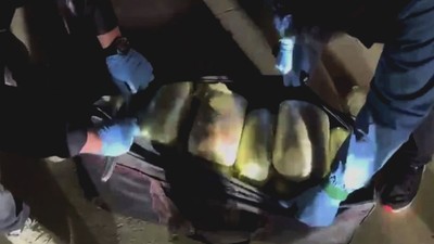 86 kilo 119 parça! Mardin barosu avukatlarına suçüstü