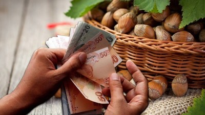 FINDIK FİYATLARI DEPAR ATTI! 8 Mayıs 2025 Levant-Giresun fındık fiyatları son durum