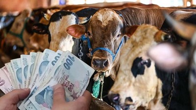 2025 KURBANLIK FİYATLARI DUDAK UÇUKLATTI! İl il kurban fiyatları listeleri açıklandı