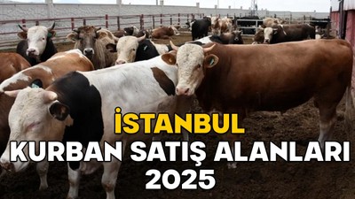 İSTANBUL KURBAN SATIŞ ALANLARI 2025 || İBB kurban pazarları nerede kuruldu?