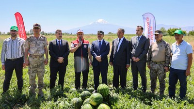 Vali Turan ve Başsavcı Dede, Iğdır'da karpuz hasadını başlattı