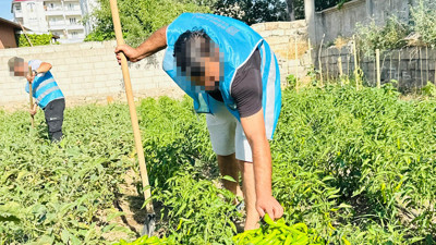 Iğdır Cumhuriyet Başsavcılığı'ndan örnek proje! 'Yeşeren Umutlar' ihtiyaç sahiplerine ulaştı