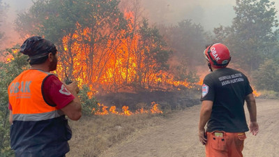 HSK Üyesi Hakan Yüksel'den orman şehitlerine taziye mesajı!
