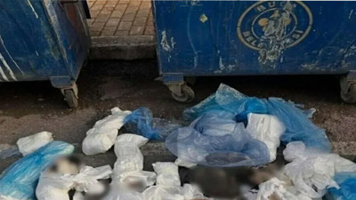 Çöp konteynerinde 33 ölü kedi bulunmuştu... O veteriner hakkında karar verildi
