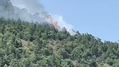 Ankara'da orman yangını çıkaran şüpheli tutuklandı