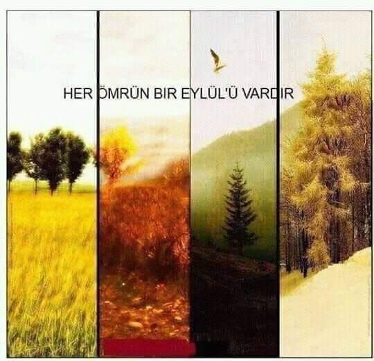 "Hoş Geldin Eylül" sözleri: En güzel, anlamlı, duygusal, şiirsel, sonbahar ile ilgili Eylül sözleri ve mesajları - Resim: 2