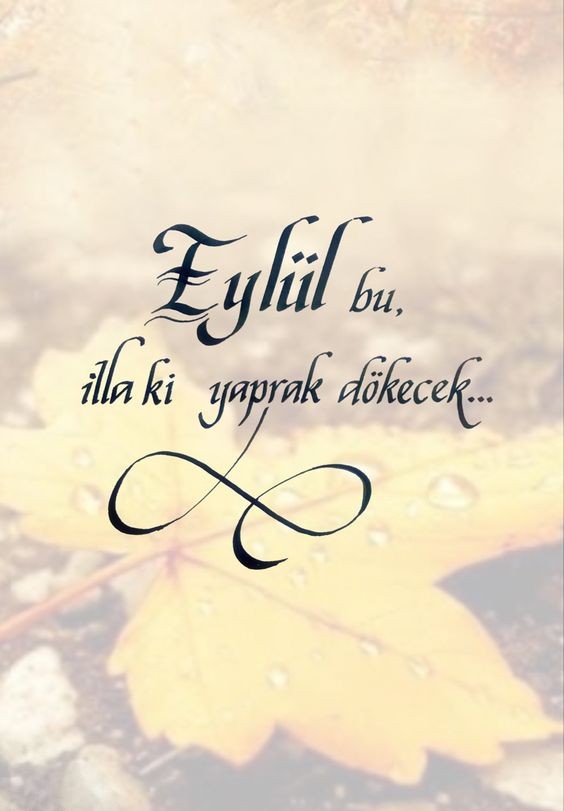 "Hoş Geldin Eylül" sözleri: En güzel, anlamlı, duygusal, şiirsel, sonbahar ile ilgili Eylül sözleri ve mesajları - Resim: 6