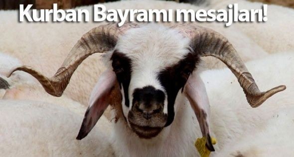 Kurban Bayramı 2. günü mesajları 2025: Dualı, ayetli, anlamlı, en güzel ve resimli bayram mesajları ve sözleri - Resim: 2
