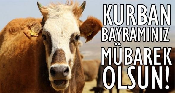 Kurban Bayramı 2. günü mesajları 2025: Dualı, ayetli, anlamlı, en güzel ve resimli bayram mesajları ve sözleri - Resim: 3