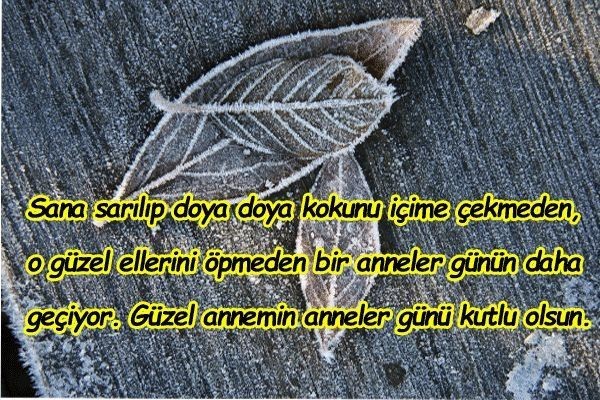 ÖLMÜŞ ANNEYE ANNELER GÜNÜ MESAJLARI 2025 || Vefat eden anneler için duygusal Anneler günü mesajları ve sözleri - Resim: 14