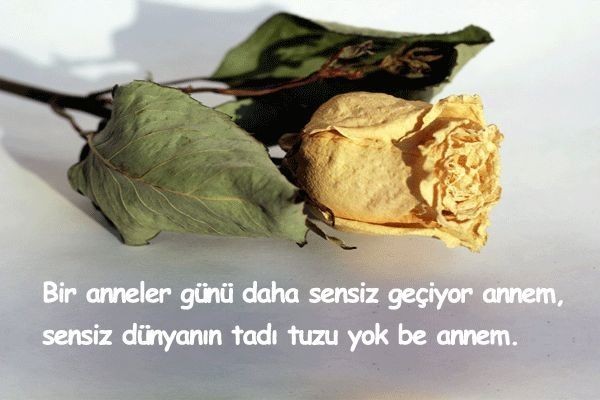 ÖLMÜŞ ANNEYE ANNELER GÜNÜ MESAJLARI 2025 || Vefat eden anneler için duygusal Anneler günü mesajları ve sözleri - Resim: 15