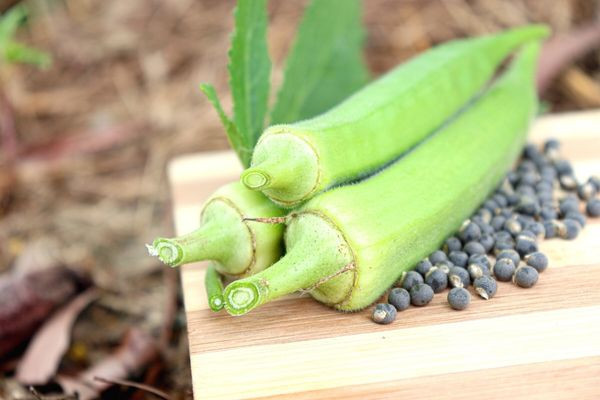 Faydası saymakla bitmez. Görünce burun kıvırabilirsiniz. Ama etkilerine diyecek yok - Resim: 5