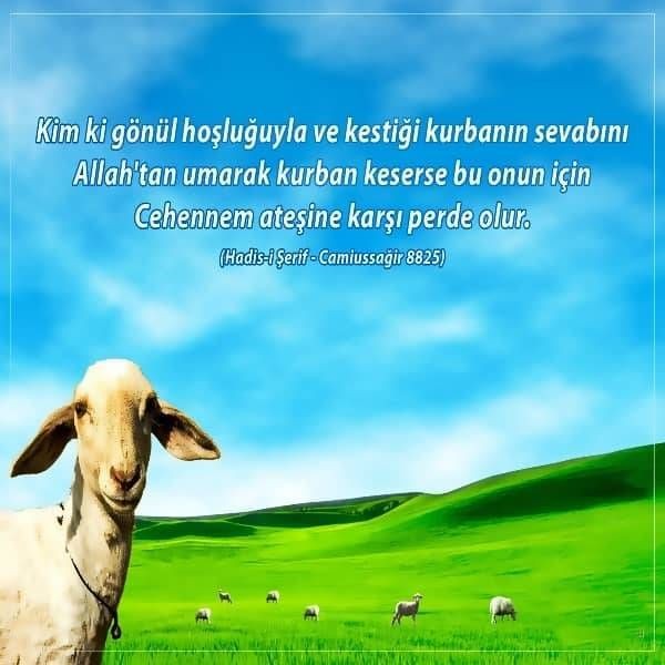 Kurban Bayramı mesajları ile sevdiklerinizi mutlu edin! En güzel, resimli Hayırlı Bayramlar mesajları ve sözleri - Resim: 3