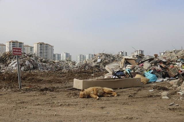 Binalar gitti, tabelalar geldi! Diyarbakır'da içler acısı görüntü - Resim: 3