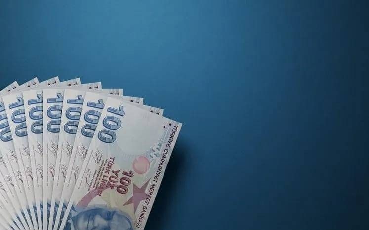 DAR GELİRLİYE 12 BİN 500 TL DESTEK: e devlet’ten başvur, desteği al. Ek evrak yok, kuruma gitmek yok - Resim: 3