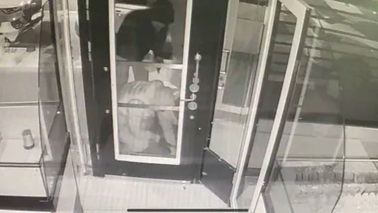 Zincirleme soygunlar polisin film gibi operasyonuyla bitti! - Resim: 5