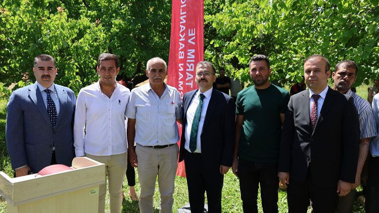 Başsavcı Meriç Dede, bu kez de kayısı hasadında - Resim: 2