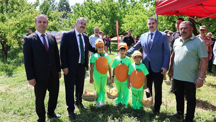 Başsavcı Meriç Dede, bu kez de kayısı hasadında - Resim: 3
