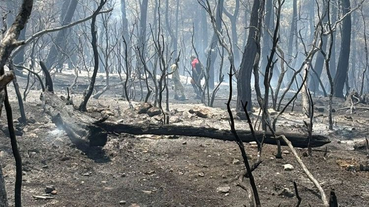 Bakırköy Adliyesi’nden yangınla mücadeleye büyük destek! AD-KUR ekipleri görevlerini başarıyla tamamladı - Resim: 3