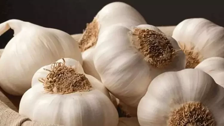 Herkes bayıla bayıla yiyor ama kraliyet ailesinde yasaklı! Mutfaktan içeri sokulmuyor - Resim: 4